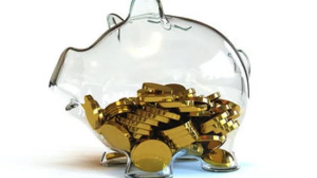 Gold coins in the piggy bank